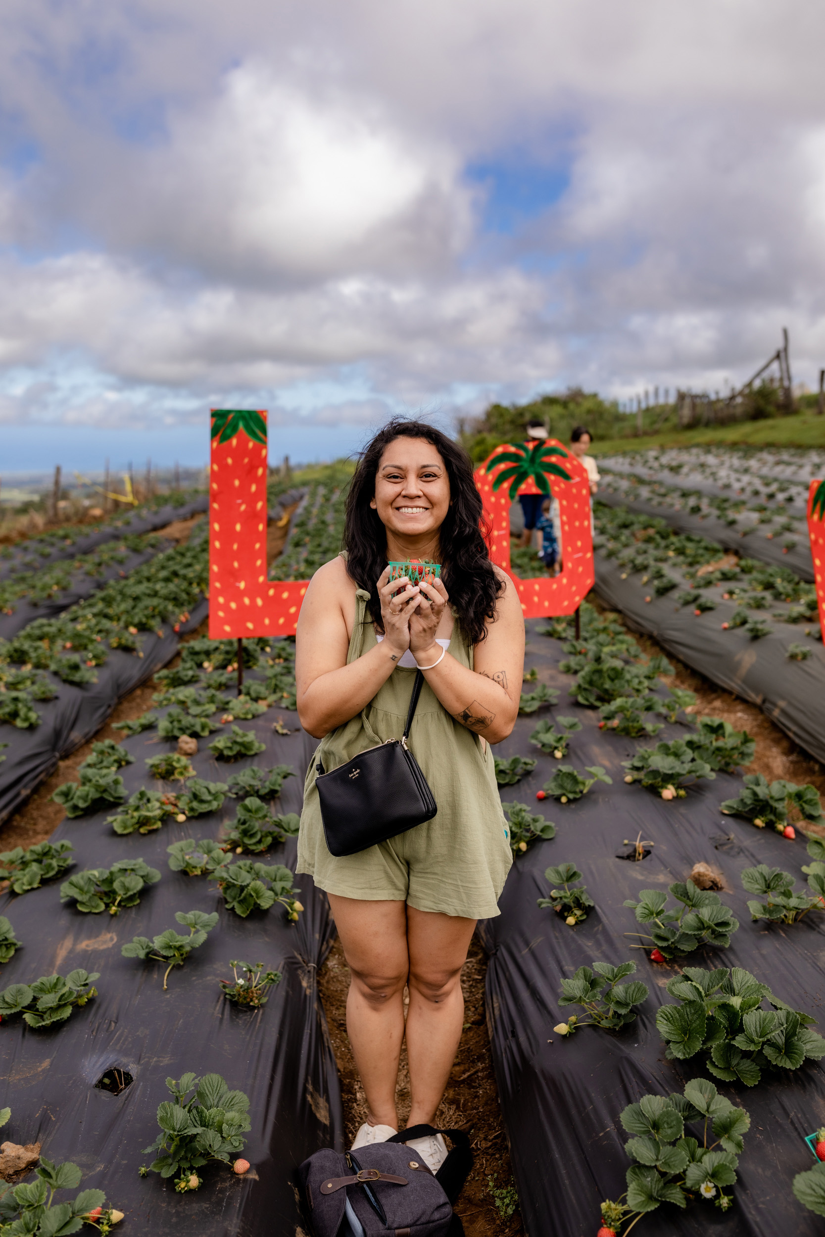 strawberry picking in maui, hawaii